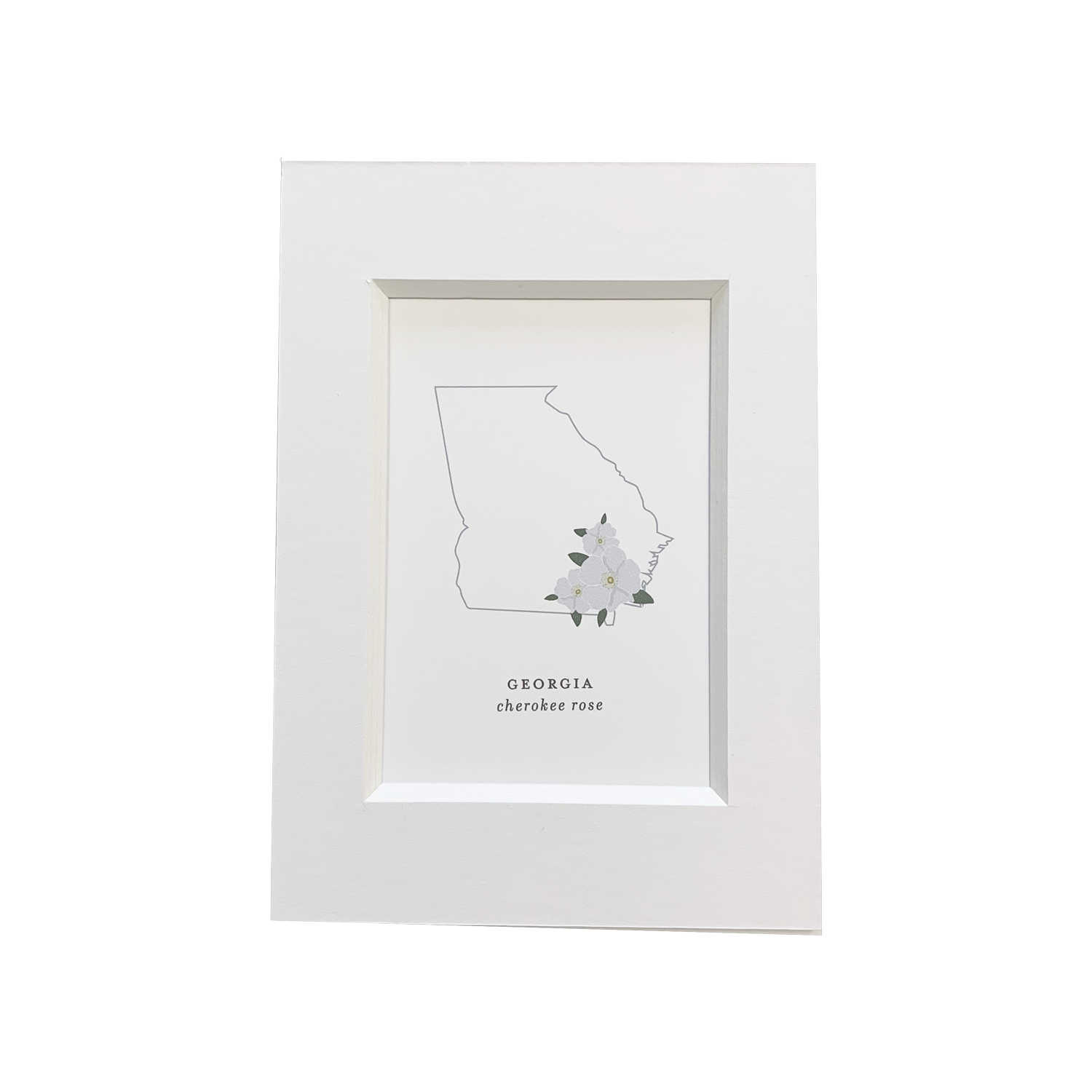 Georgia State Flower Print – Shop Dodeline